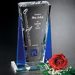 Sentinel Award 6-1/2